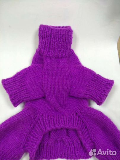 Одежда для собак