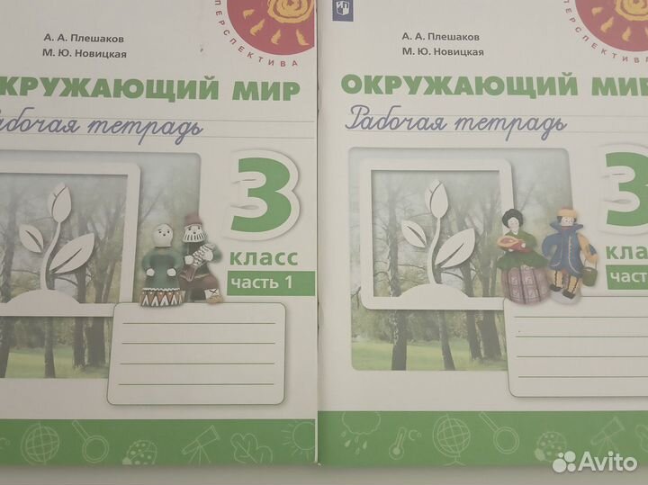 Учебники перспектива