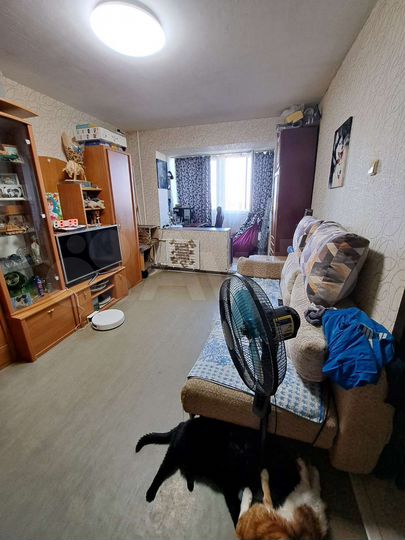 2-к. квартира, 46,2 м², 7/9 эт.