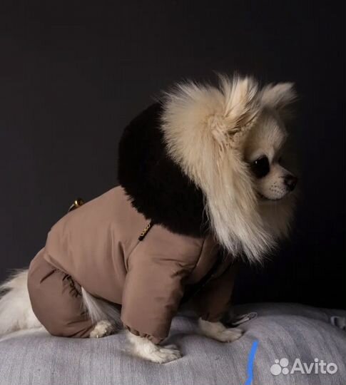 Комбинезон зимний для собак мелких пород