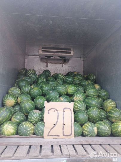 Арбузы
