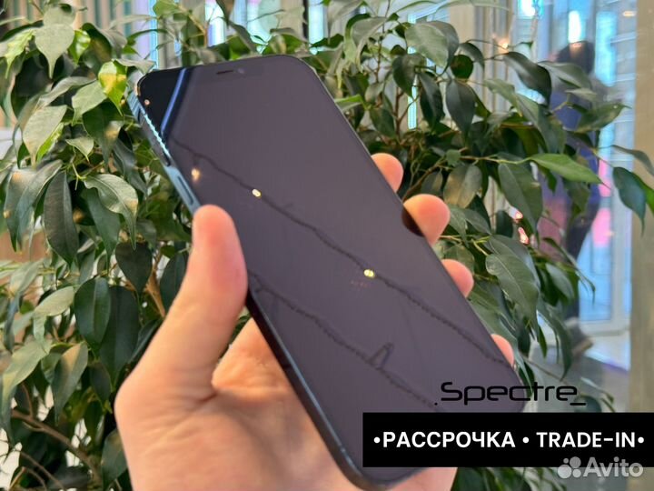 iPhone 12 Pro, 256 ГБ