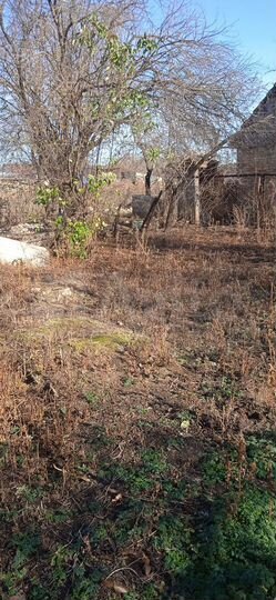 Участок 20 сот. (ИЖС)