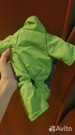 Одежда для собак мелких пород