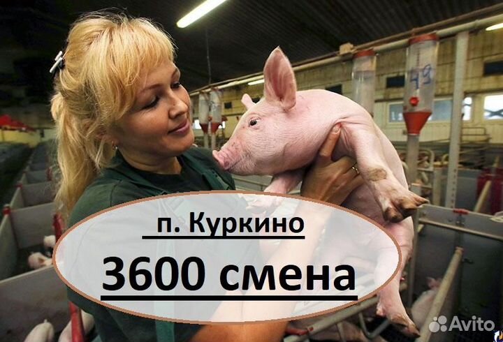 Уход за животными РФ/ Вахта/ Тульская обл