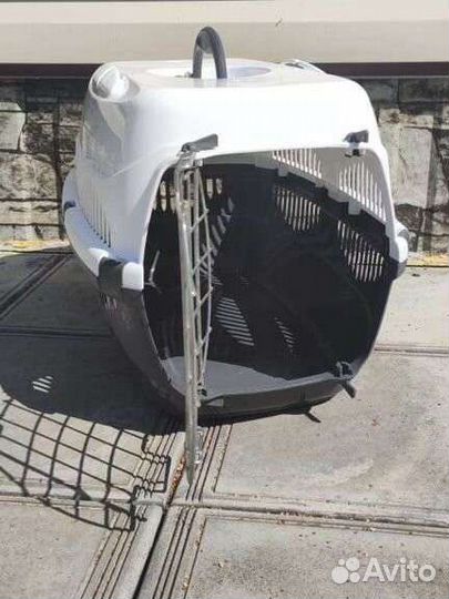 Переноска для животных аренда