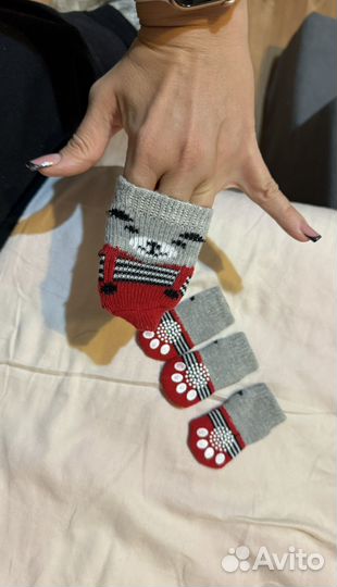 Носки для собак мелких и средних пород