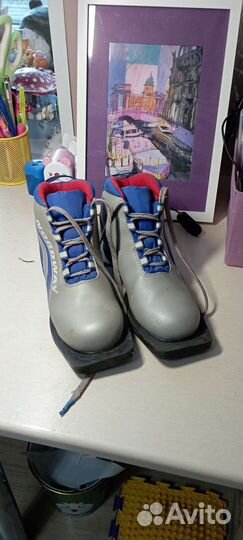 Лыжные ботинки Nordway