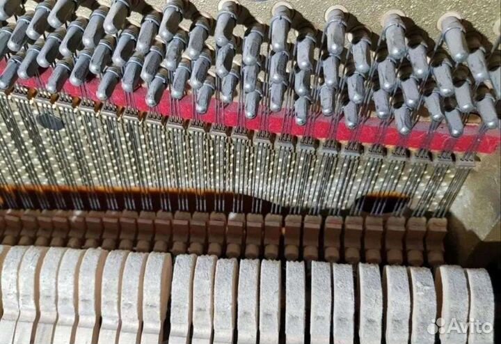 Пианино (Petrof, Ronisch, Neumeyer) б/у