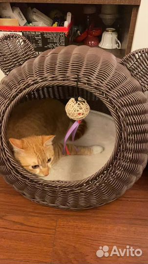 Домик для кота