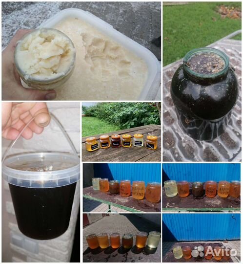 Мед с личной пасеки