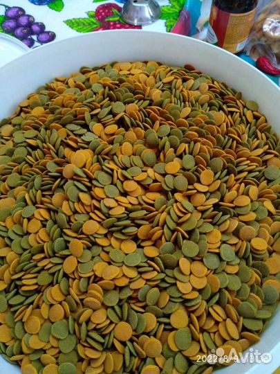 Чипсы, таблетки- корм для аквариумных рыбок