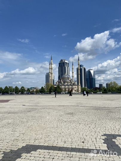 Махачкала Топ-Экскурсия Три сердца Чечни: Шали, Гр