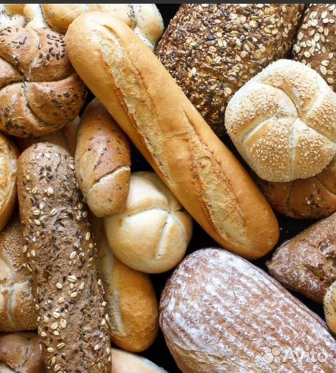 Корма для животных