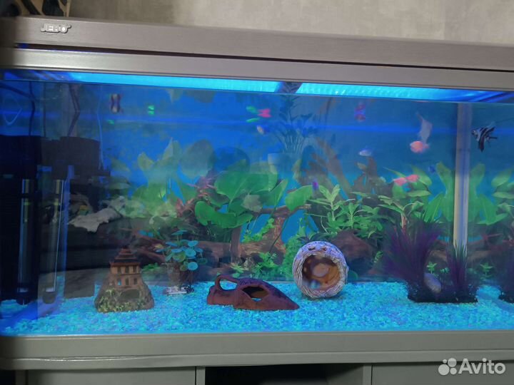 Аквариум