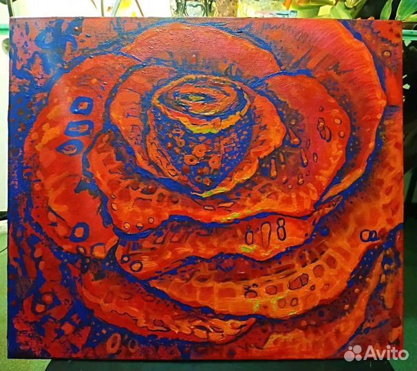 Psychedelic Rose