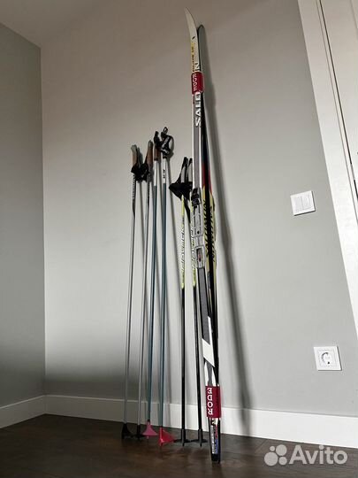 Беговые лыжи Salomon equipe10+лыжные палки