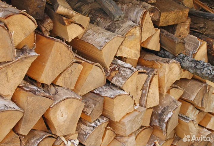 Дрова береза