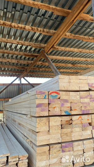 Лес с доставкой