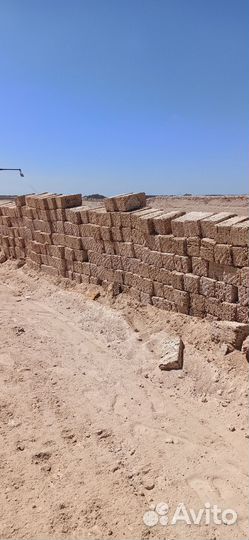 Доставим Ракушку 1сорта Некондицию (Бут) 2сорта