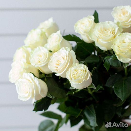 Длинные высокие розы 110 150 160 180 200 см