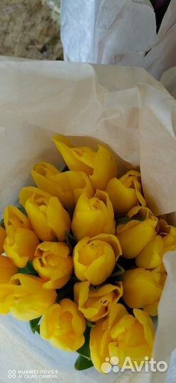 Тюльпаны подарочный набор