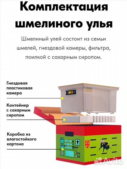 Шмели для сада, огорода, теплицы, детей