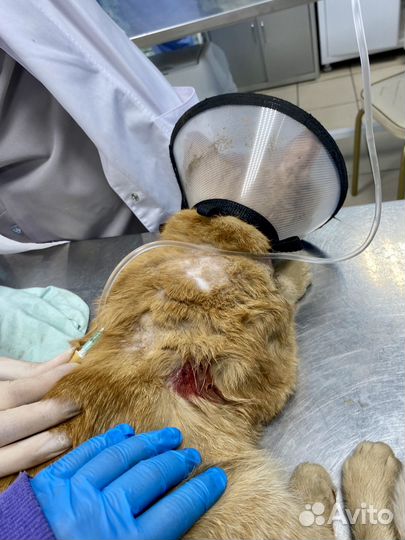 Умоляю, помогите