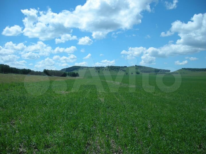 Участок 390 га (СНТ, ДНП)