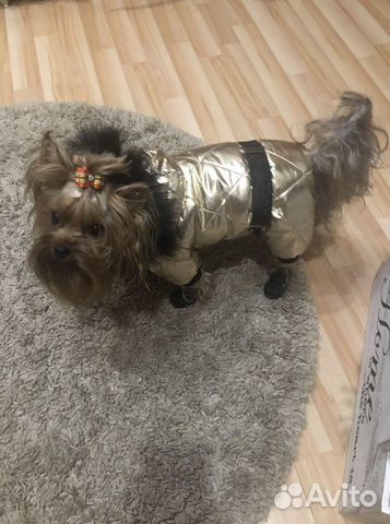 Зимний комбинезон новый