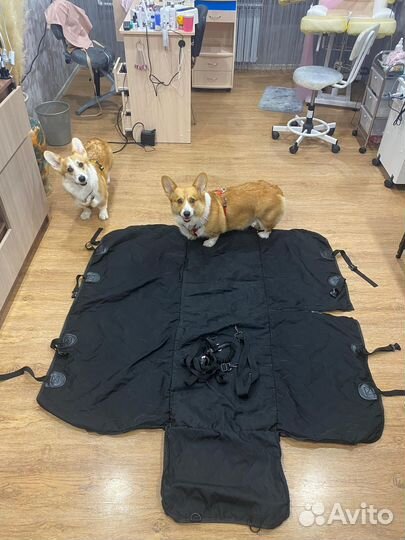 Автогамак для перевозки собак