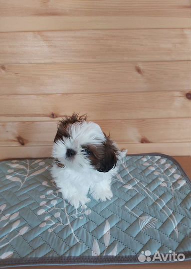 Многоразовые непромокаемые пеленки