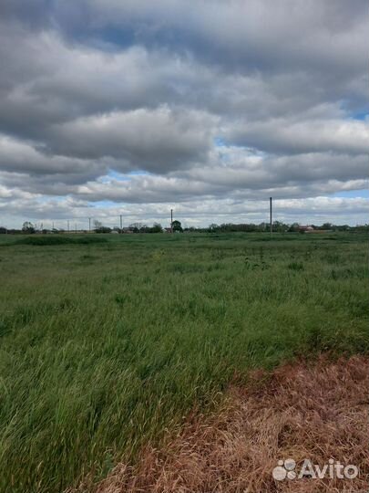 Участок под укос сена