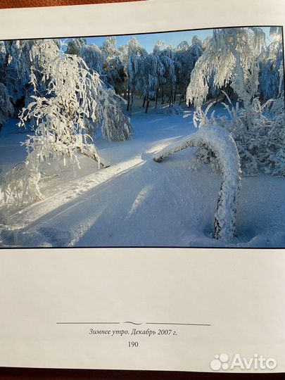 Фотоальбом «Времена года в Ялте» Е.И. Комаров