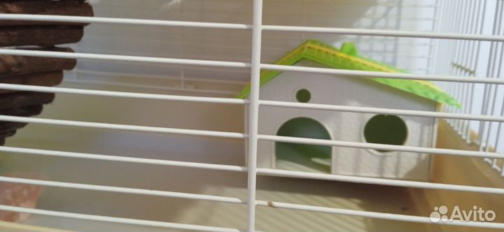 Клетка для хомяка