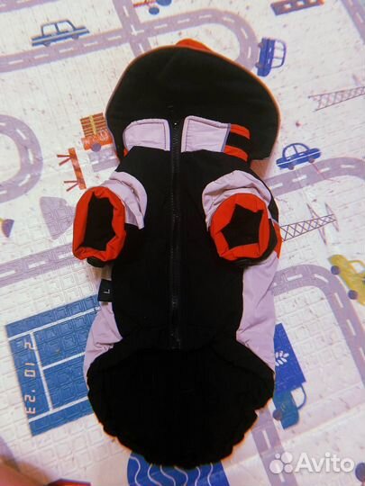 Одежда для собак