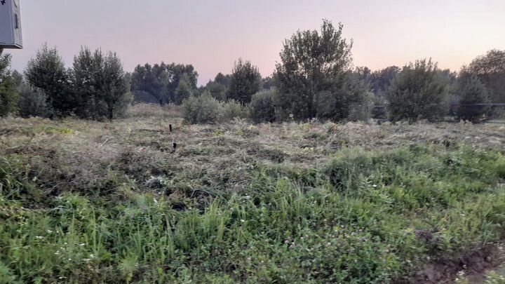 Участок 11 сот. (СНТ, ДНП)