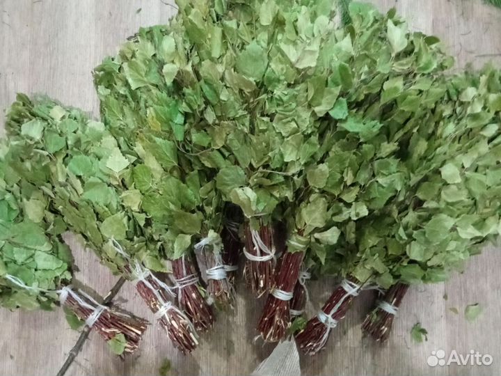 Банный веник: пихта и береза