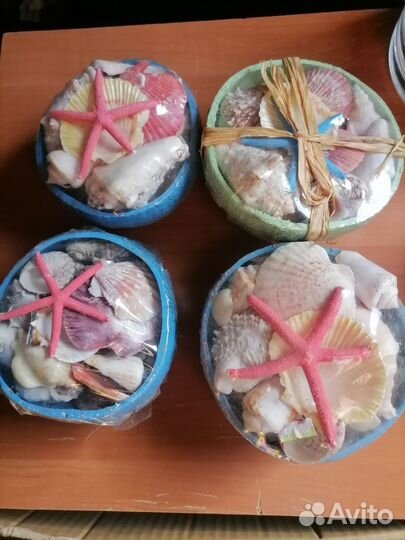 Морские ракушки раковины