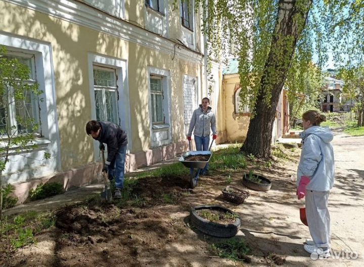 Примем грунт волонтерский проект Дворик с историей
