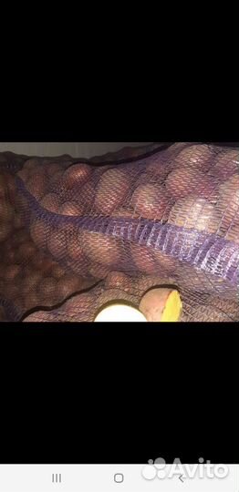 Картофель и всё овощи