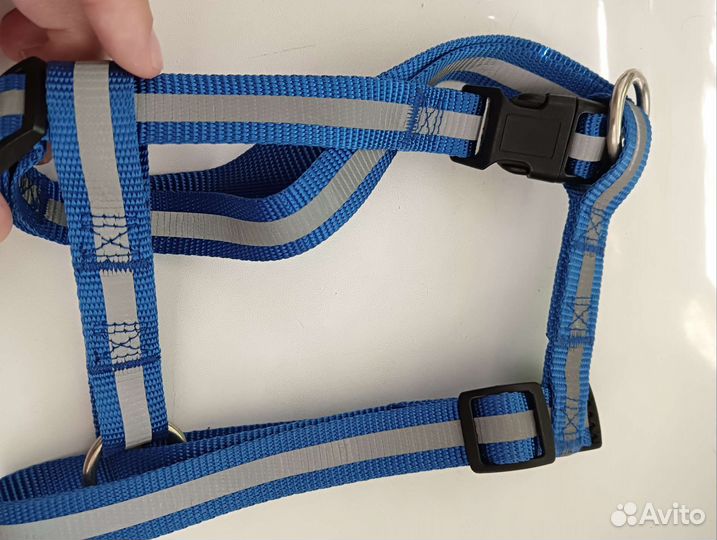 Шлейка и поводок для маленьких пород