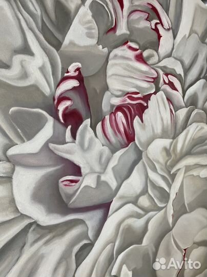 Интерьерная картина маслом «Белый пион» 70/70 см