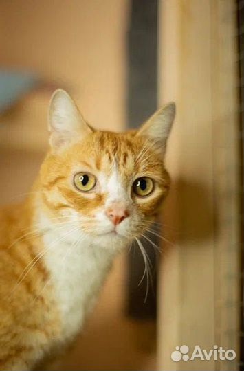 Кто у нас Солнышко