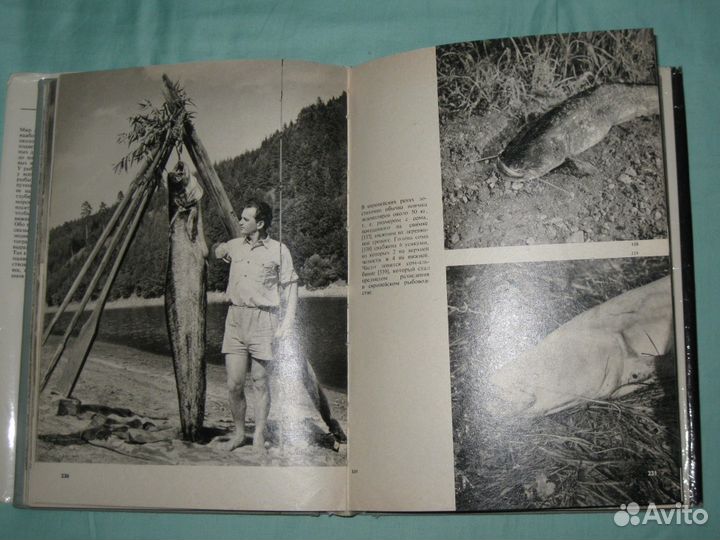 Иллюстрированная энциклопедия рыб. 1975 год