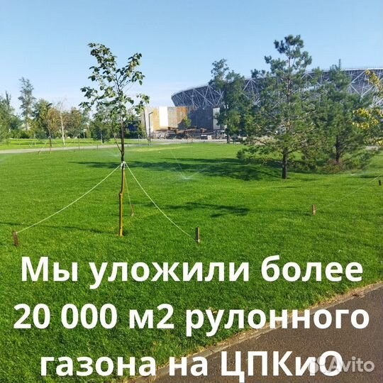 Рулонный газон