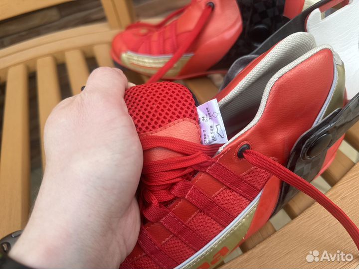 Роллерные ботинки Alpina