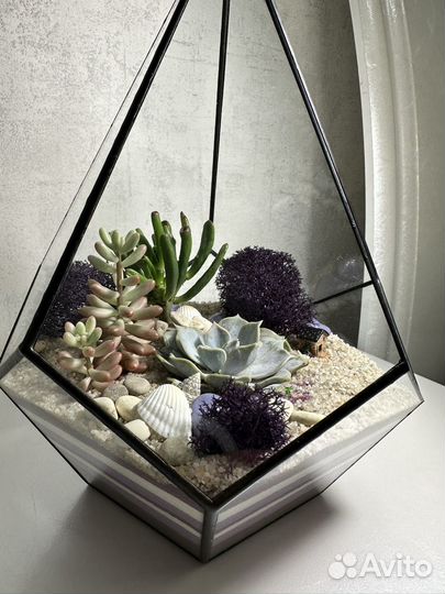 Флорариум 