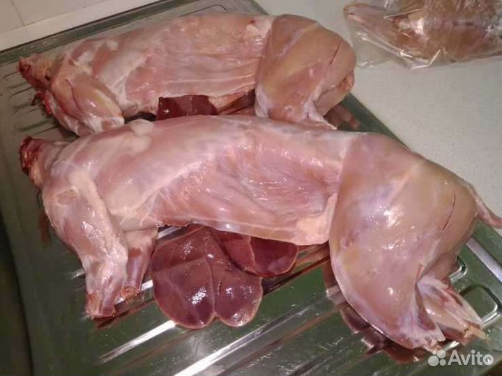 Мясо кролика