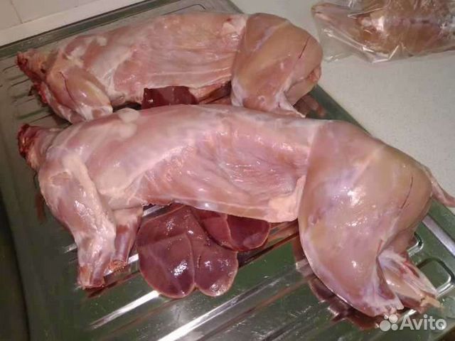 Мясо кролика
